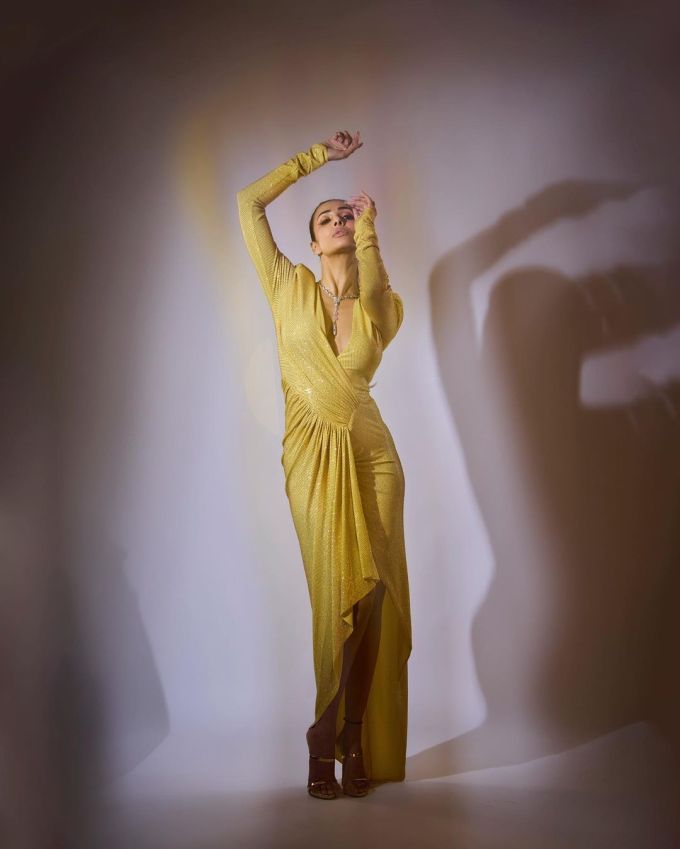 મલાઇકા અરોરા મોડેલની સાથે બહેતરીન ડાંસર અને નિર્માતા પણ છે. મલાઇકા અરોરા મોડેલની સાથે બહેતરીન ડાંસર અને નિર્માતા પણ છે.