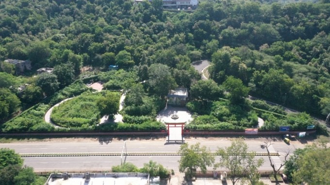 કેવડિયામાં SSNNL સર્કિટ હાઉસ ટેકરીની બાજુમાં એકતા નગર ખાતે એકતા મોલની નજીક 2 એકર વિસ્તારમાં મિયાવાકી જંગલ વિકસાવવામાં આવી રહ્યું છે. આ જંગલમાં નીચેના વિભાગોનો સમાવેશ કરવામાં આવશે:<br>1) નેટિવ ફ્લોરલ ગાર્ડન<br>2) ટિંબર ગાર્ડન<br>3) ફ્રુટ ગાર્ડન<br>4) મેડિસિનલ ગાર્ડન<br>5) મિશ્ર પ્રજાતિઓનું મિયાવાકી સેક્શન<br>6) ડિજિટલ ઓરિએન્ટેશન સેન્ટર