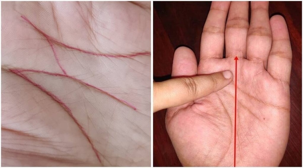 હસ્તરેખા શાસ્ત્ર : હથેળીમાં સૂર્ય પર્વત બળવાન હોય તો સરકારી નોકરી મળે, વ્યક્તિ રાજા જેવું જીવન જીવે હસ્તરેખા શાસ્ત્ર : હથેળીમાં સૂર્ય પર્વત બળવાન હોય તો સરકારી નોકરી મળે, વ્યક્તિ રાજા જેવું જીવન જીવે