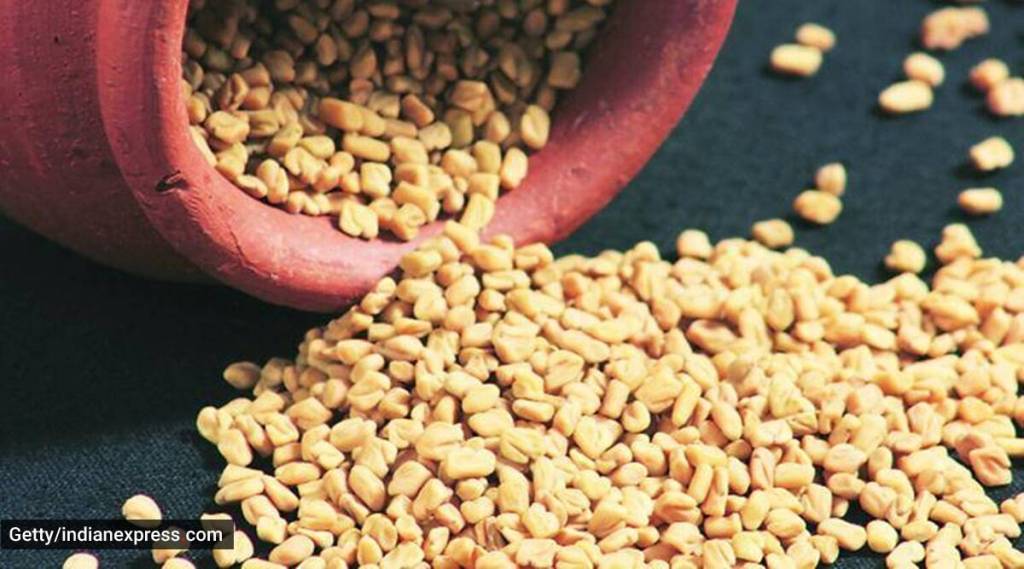 Fenugreek Seed: મેથી દાણાનું સેવન આ બીમારીમાં નુકશાનકારક, અહીં જાણો