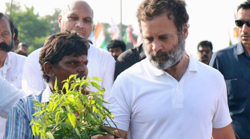 ગુજરાત વિધાનસભા ચૂંટણી: રાહુલ ગાંધી ‘ભારત જોડો યાત્રાથી’  લેશે વિરામ, ગુજરાત વિધાનસભા ચૂંટણી જંગમાં ઝંપલાવશે