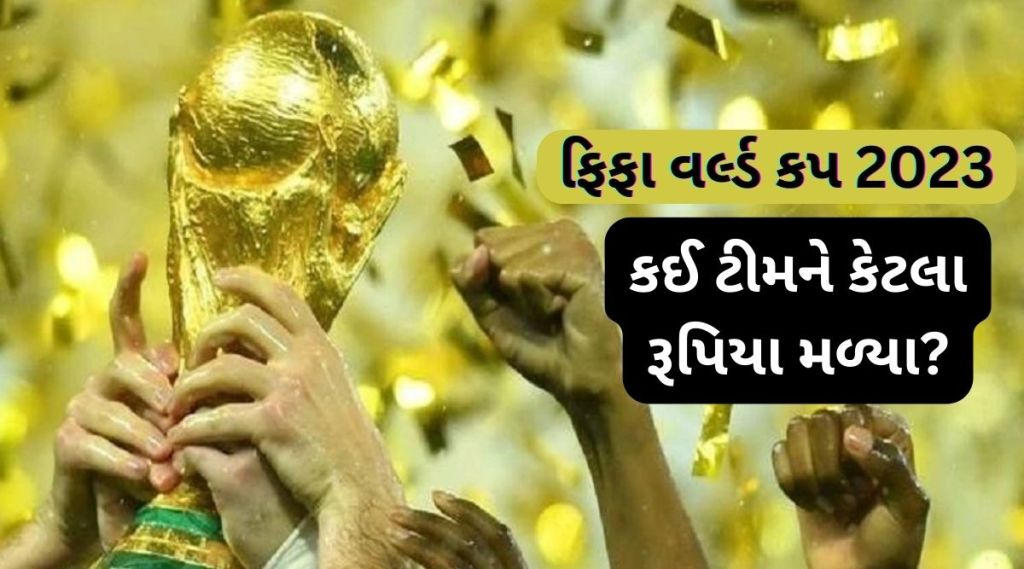 ફિફા વર્લ્ડ કપ: એક પણ મેચ ન જીતનારી ટીમ પણ ક્રિકેટ વર્લ્ડ કપની કુલ રકમ કરતા 64 ટકા વધારે રૂપિયા લઈ ગઈ, કઈ ટીમને કેટલા મળ્યા?