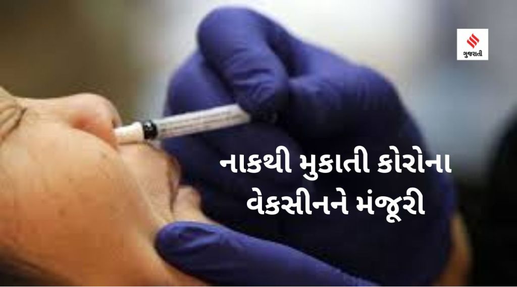 નાકથી મુકાતી નોઝલ વેક્સીનને મંજૂરી, શું કોવિશિલ્ડ કે કોવેક્સીન લેનાર વ્યક્તિ આ રસી લઇ શકશે? 7 પોઇન્ટમાં જાણો સંપૂર્ણ માહિતી