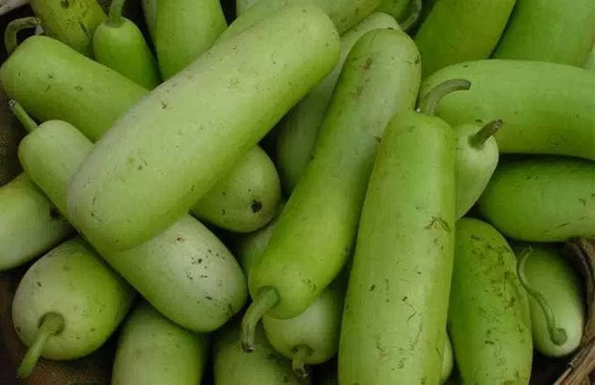 આ બીમારીઓમાં હાનિકારક છે દૂધીનું સેવન, જાણો એક્સપર્ટ શું કહે છે…