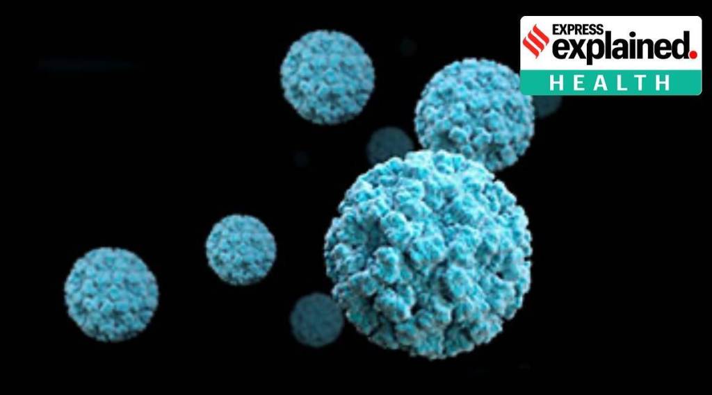Norovirus case: કેરળમાં નોરોવાયરસના બે કેસ નોંધાયા, જાણો આ વાયરસ કેવી રીતે ફેલાય છે, લક્ષણો અને બચવાના ઉપાયો Norovirus case: કેરળમાં નોરોવાયરસના બે કેસ નોંધાયા, જાણો આ વાયરસ કેવી રીતે ફેલાય છે, લક્ષણો અને બચવાના ઉપાયો