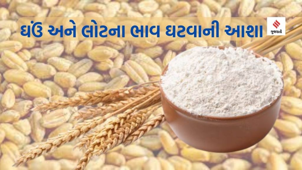 Wheat Price: સરકાર ઘઉંનો 30 લાખ ટન જથ્થો ખુલ્લો બજારમાં વેચશે, લોટના ભાવ 5થી 6 રૂપિયા ઘટવાની શક્યતા Wheat Price: સરકાર ઘઉંનો 30 લાખ ટન જથ્થો ખુલ્લો બજારમાં વેચશે, લોટના ભાવ 5થી 6 રૂપિયા ઘટવાની શક્યતા