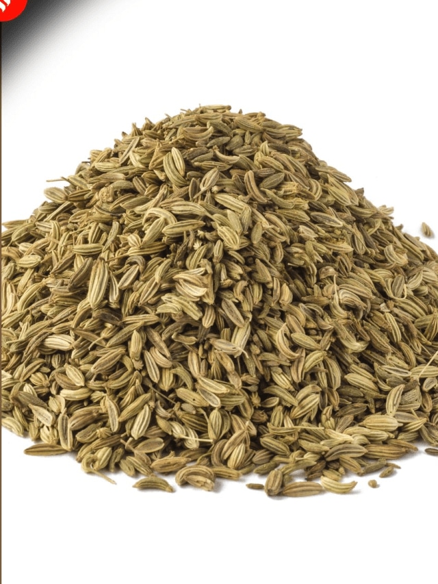 વરિયાળીનું સેવન કરવાના ફાયદા Indian Express Gujarati