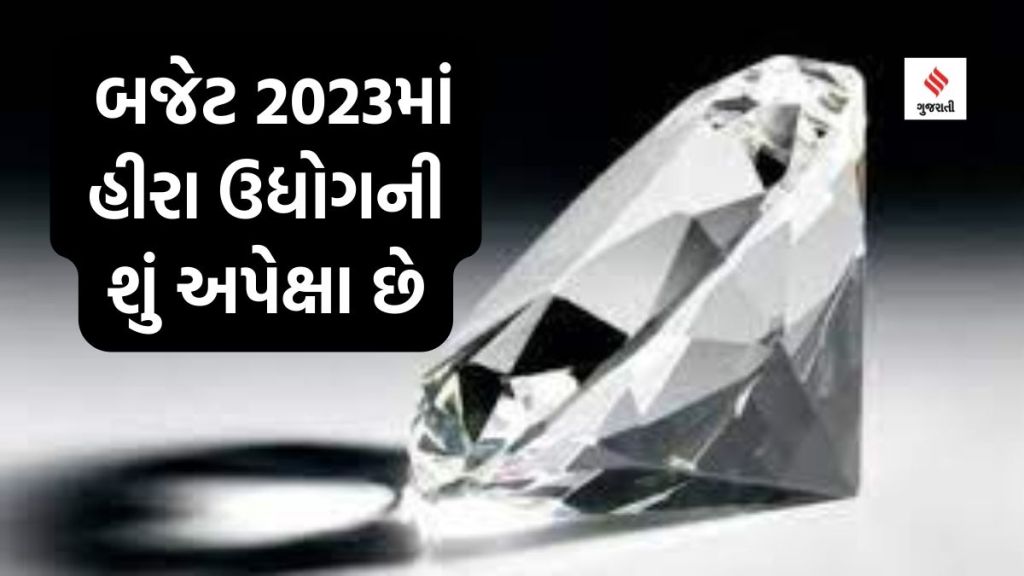 Budget 2023 : બજેટ 2023માં ડાયમંડની આયાત જકાત ઘટાડવા હીરા ઉદ્યોગની માંગણી Budget 2023 : બજેટ 2023માં ડાયમંડની આયાત જકાત ઘટાડવા હીરા ઉદ્યોગની માંગણી