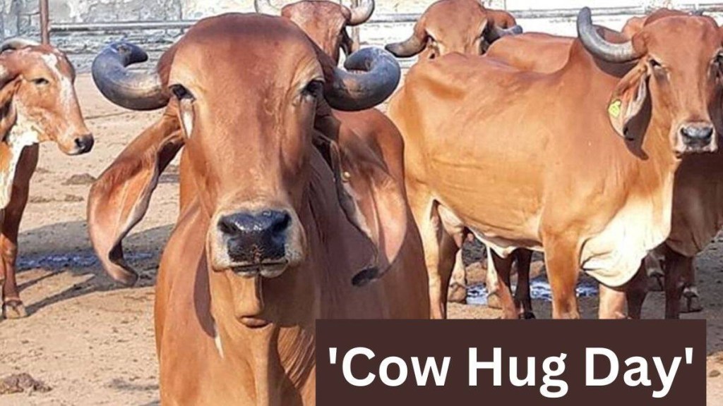 Valentine Day 2023 : વેલેન્ટાઇન ડે પર પશુ કલ્યાણ બોર્ડની અનોખી અપીલ, કપલ્સને કહ્યું – મનાવો કાઉ હગ ડે Valentine Day 2023 : વેલેન્ટાઇન ડે પર પશુ કલ્યાણ બોર્ડની અનોખી અપીલ, કપલ્સને કહ્યું – મનાવો કાઉ હગ ડે