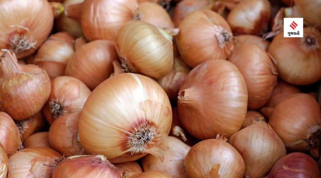 ખેડૂતો સરકારને ડુંગળી વેચવા તૈયાર નથી, બે દિવસમાં માત્ર 150 ખેડૂતોએ નાફેડમાં રજિસ્ટ્રેશન કરાવ્યું ખેડૂતો સરકારને ડુંગળી વેચવા તૈયાર નથી, બે દિવસમાં માત્ર 150 ખેડૂતોએ નાફેડમાં રજિસ્ટ્રેશન કરાવ્યું