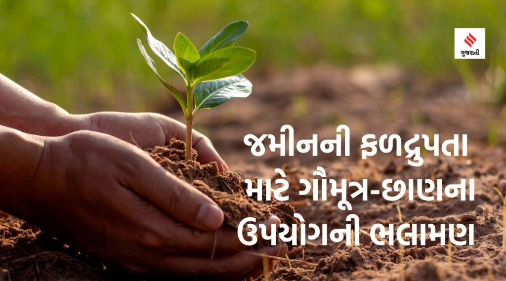 જમીનની ફળદ્રુપતા વધારવા ગૌમૂત્ર અને છાણનો ઉપયોગ કરવા નીતિ આયોગના ટાસ્ક ફોર્સની ભલામણ જમીનની ફળદ્રુપતા વધારવા ગૌમૂત્ર અને છાણનો ઉપયોગ કરવા નીતિ આયોગના ટાસ્ક ફોર્સની ભલામણ