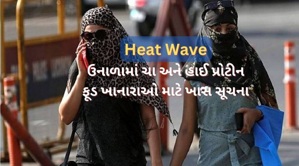 હીટ વેવને લઈ કેન્દ્ર સરકારની એડવાઈઝરી, ઉનાળામાં ચા અને હાઈ પ્રોટીન ફૂડ ખાનારાઓ માટે આપી ખાસ સૂચના હીટ વેવને લઈ કેન્દ્ર સરકારની એડવાઈઝરી, ઉનાળામાં ચા અને હાઈ પ્રોટીન ફૂડ ખાનારાઓ માટે આપી ખાસ સૂચના