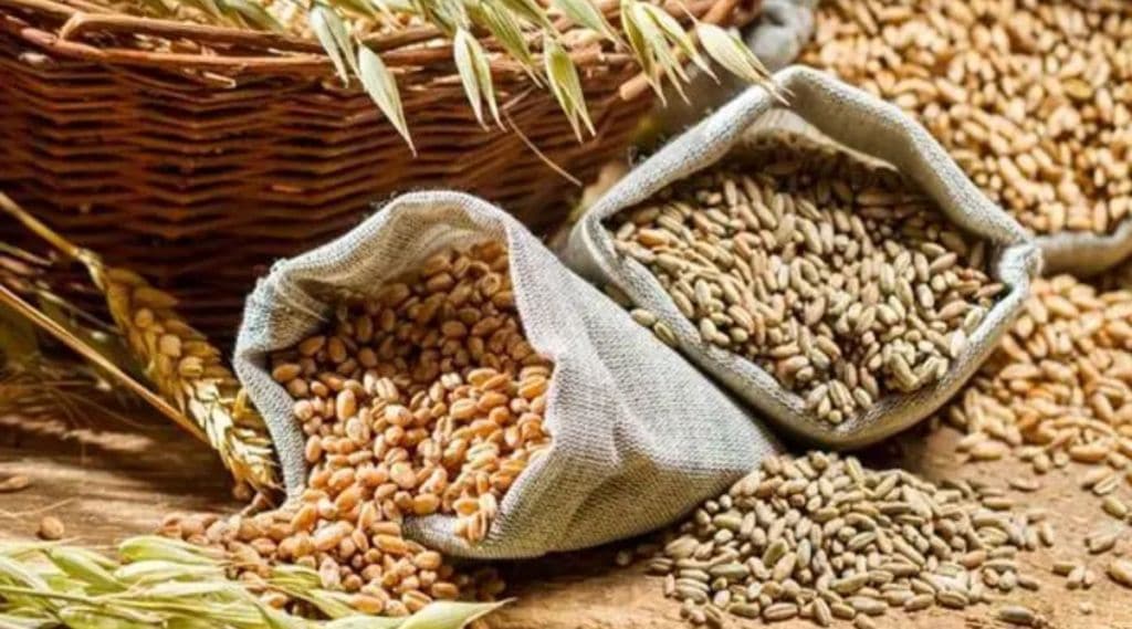 ઇન્ટરનેશનલ મીલેટ્સ યર 2023: સૈન્ય ટુકડીના રાશનમાં ‘દેશી ડાયટ’ માટે મીલેટ્સનો સમાવેશ ઇન્ટરનેશનલ મીલેટ્સ યર 2023: સૈન્ય ટુકડીના રાશનમાં ‘દેશી ડાયટ’ માટે મીલેટ્સનો સમાવેશ