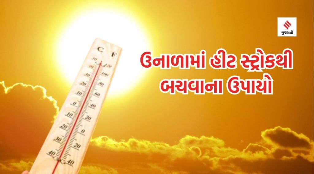 ઉનાળામાં ડિહાઇડ્રેશન અને હીટ સ્ટ્રોકથી બચવાના ઉપાયો, આ ફૂડ્સના સેવનથી શરીરને મળશે ઠંડક
