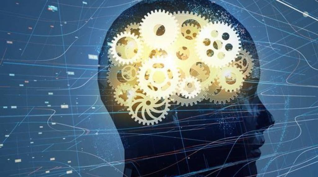 મગજની પ્રવૃત્તિમાં ગ્લુકોઝની ભૂમિકા શું છે? જાણો અભ્યાસ શું કહે છે?