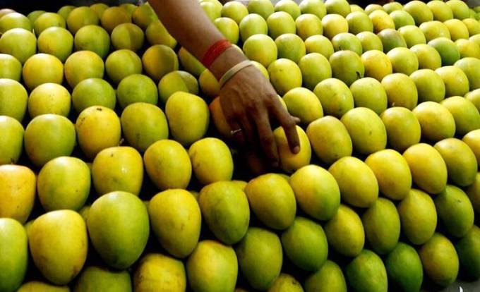 કેરી એ દરેકને ભાવતું ફળ છે. અને ઉનાળાની સીઝનમાં આપણે કેરીનો ભરપૂર આનંદ માણીએ છીએ. પરંતુ શું તમે જાણો છો કે કેરી કેમિકલ વગર પકવામાં આવી છે તે કેવી રીતે ઓળખી શકાય?