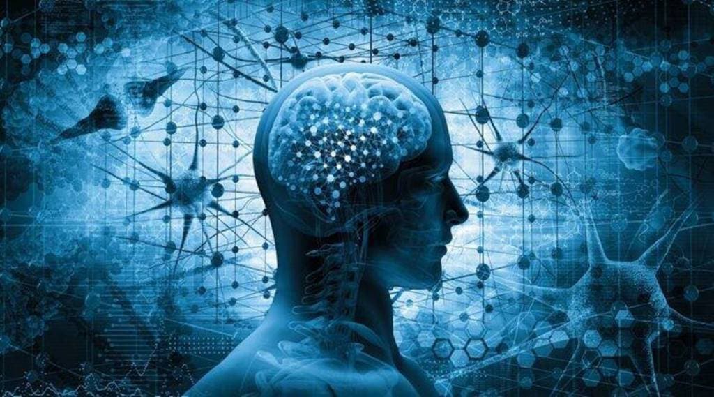 હેલ્થ અપડેટ : પ્રોટીન અને માનસિક સ્વાસ્થ્ય વચ્ચે શું છે કનેકશન? જાણો અહીં હેલ્થ અપડેટ : પ્રોટીન અને માનસિક સ્વાસ્થ્ય વચ્ચે શું છે કનેકશન? જાણો અહીં