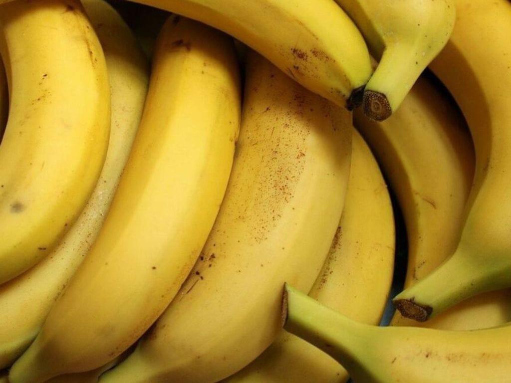 Desi Variety Of Bananas : ડેઇલી કેલરીના સેવનને કંટ્રોલ કરવા માટે, તમે નિયમિત આ વિવિધ પ્રકારના કેળાનું કરો સેવન