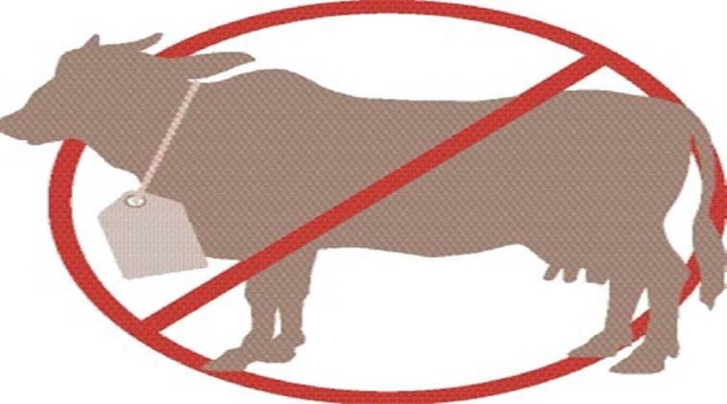 ગૌહત્યા કેસ અમરેલી : દોષિતને 10 વર્ષની સખત કેદની સજા સહિત 1 લાખનો દંડ ફટકાર્યો, શું હતો કેસ? શું છે કાયદો અને જોગવાઈ?