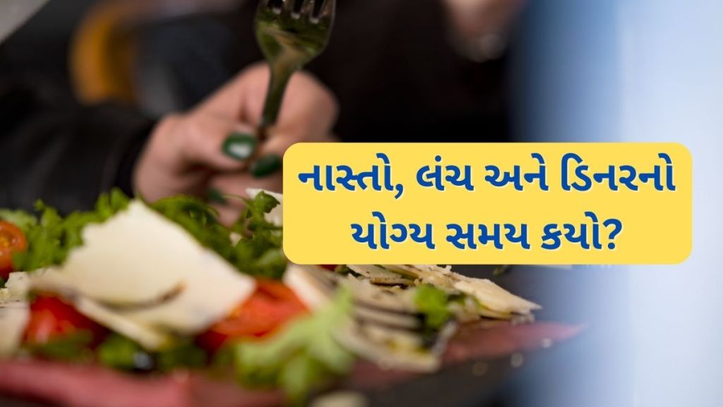 નાસ્તો, લંચ અને ડિનરનો યોગ્ય સમય કયો છે? જો તમે આ પ્લાન ફોલો કરશો તો એનેક રોગોથી દૂર રહેશો નાસ્તો, લંચ અને ડિનરનો યોગ્ય સમય કયો છે? જો તમે આ પ્લાન ફોલો કરશો તો એનેક રોગોથી દૂર રહેશો