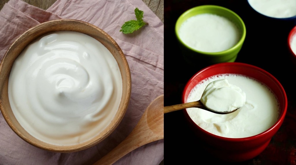 Summer Health Tips : શું રાત્રે દહીંનું સેવન કરવું જોઈએ કે નહિ? Summer Health Tips : શું રાત્રે દહીંનું સેવન કરવું જોઈએ કે નહિ?