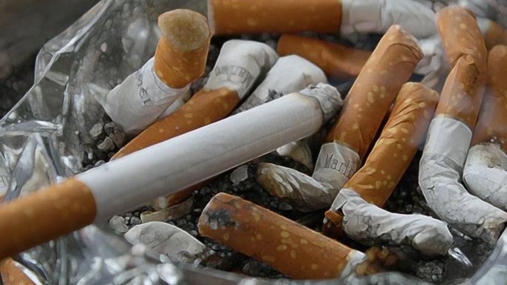 World No Tobacco Day 2023 : આજે વિશ્વ તમાકુ નિષેધ દિવસ, થીમ છે “આપણને ખોરાકની જરૂર છે, તમાકુની નહીં”