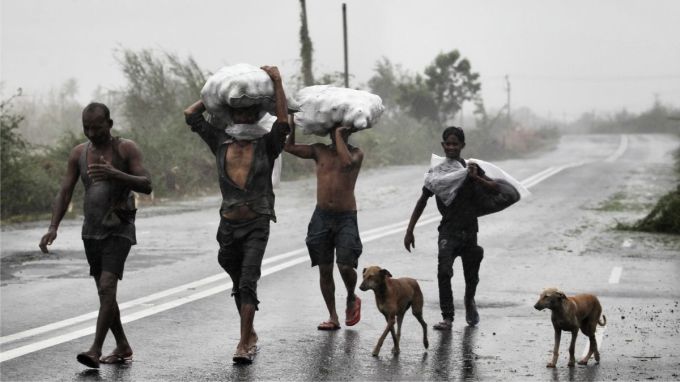 આ જમાનામાં સંકટના સમયમાં માણસ-માણસનો સાથ છોડી દેશે પણ પ્રાણીઓ હંમેશા વફાદાર રહેશે. બિપરજોય જેવા ખતકનાક વાવાઝોડા સમયે કેટલાક વ્યક્તિઓ સાથે બે કૂતરા પણ જઈ રહ્યા છે. મુશ્કેલ પરિસ્થિતિમાં પણ વફાદાર કુતરા સાથ છોડતા નથી. બન્ને એકબીજાને વાવાઝોડામાં સથવારો આપે છે.(Express photo Nirmal Harindran)