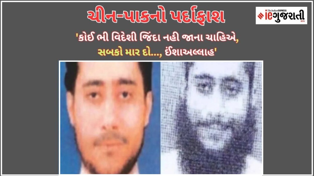 ચીન-પાકનો પર્દાફાશ: ભારતે UNમાં આતંકવાદી સાજિદ મીરનો AUDIO સંભળાવ્યો