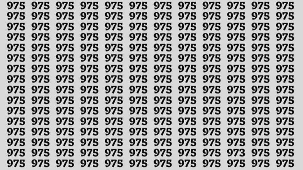 ઓપ્ટિકલ ઇલ્યુઝન ચેલેન્જ : માત્ર 3 સેકન્ડમાં શોધી બતાવો તો ખરા: છુપાયેલ નંબર 973