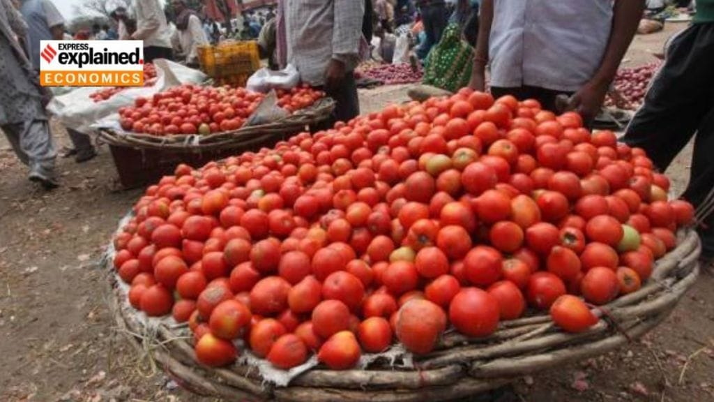 Tomato prices: ટામેટા થયા સસ્તા, નાફેડ અને NCCFએ વેચાણ કિંમત 10 રૂપિયા ઘટાડી, જાણો ક્યા અને શું ભાવે ટામેટા વેચશે Tomato prices: ટામેટા થયા સસ્તા, નાફેડ અને NCCFએ વેચાણ કિંમત 10 રૂપિયા ઘટાડી, જાણો ક્યા અને શું ભાવે ટામેટા વેચશે