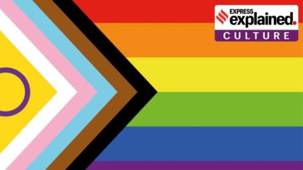 Pride Month : શા માટે સમલૈંગિક સમુદાયના ધ્વજમાં થયો ફેરફાર? ધ્વજમાં દર્શાવેલ રંગો શું સૂચવે છે? જાણો અહીં