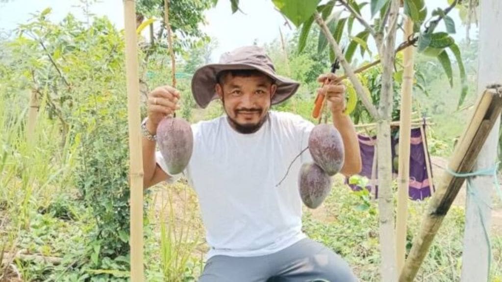 Miyazaki mango: ત્રિપુરામાં દુનિયાની સૌથી મોંઘી મિયાઝાકી કેરીની સફળ ખેતી, પેઇન્ટરમાંથી ખેડૂત બની પ્રજ્ઞાન ચક્રમાન કરે છે લાખોની કમાણી Miyazaki mango: ત્રિપુરામાં દુનિયાની સૌથી મોંઘી મિયાઝાકી કેરીની સફળ ખેતી, પેઇન્ટરમાંથી ખેડૂત બની પ્રજ્ઞાન ચક્રમાન કરે છે લાખોની કમાણી