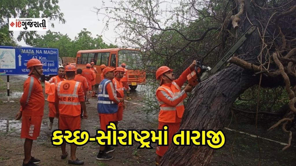 Biparjoy Cyclone Effect | બિપરજોય વાવાઝોડું બન્યું વિનાશક, 4000 થી વધુ વીજ પોલ ધ્વસ્ત, કચ્છ-સૌરાષ્ટ્રમાં અંધારપટ, હજારો વૃક્ષો ઉખડ્યા, જાણો ક્યાં કેટલી થઈ અસર?