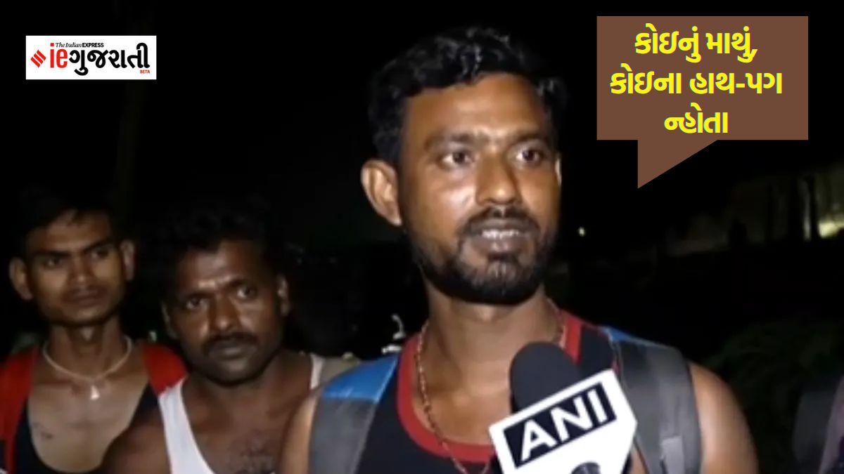 Lazy Load Placeholder Image