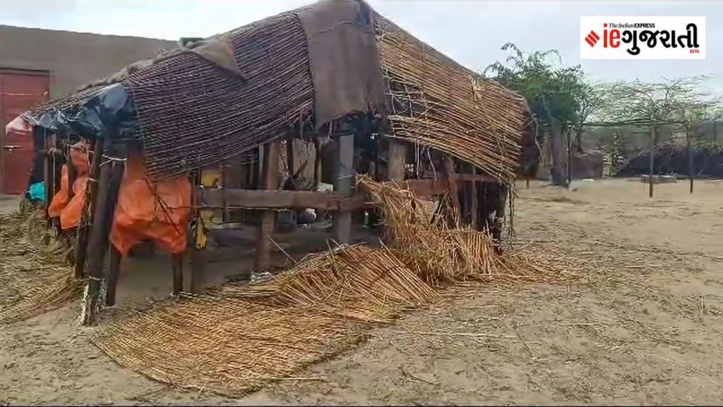 Biparjoy Cyclone: બિપરજોય વાવાઝોડું નબળું પડ્યું, એલઆઈસીએ ચક્રવાતથી પ્રભાવિત લોકો માટે રાહતની કરી જાહેરાત