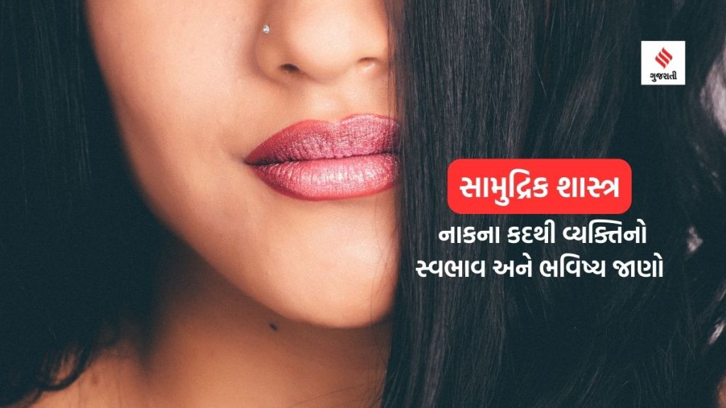 Samudrik Shastra: આવી નાકવાળા લોકો સુખી હોય છે; નાકના કદના આધારે જાણો વ્યક્તિનો સ્વભાવ અને ભવિષ્ય Samudrik Shastra: આવી નાકવાળા લોકો સુખી હોય છે; નાકના કદના આધારે જાણો વ્યક્તિનો સ્વભાવ અને ભવિષ્ય