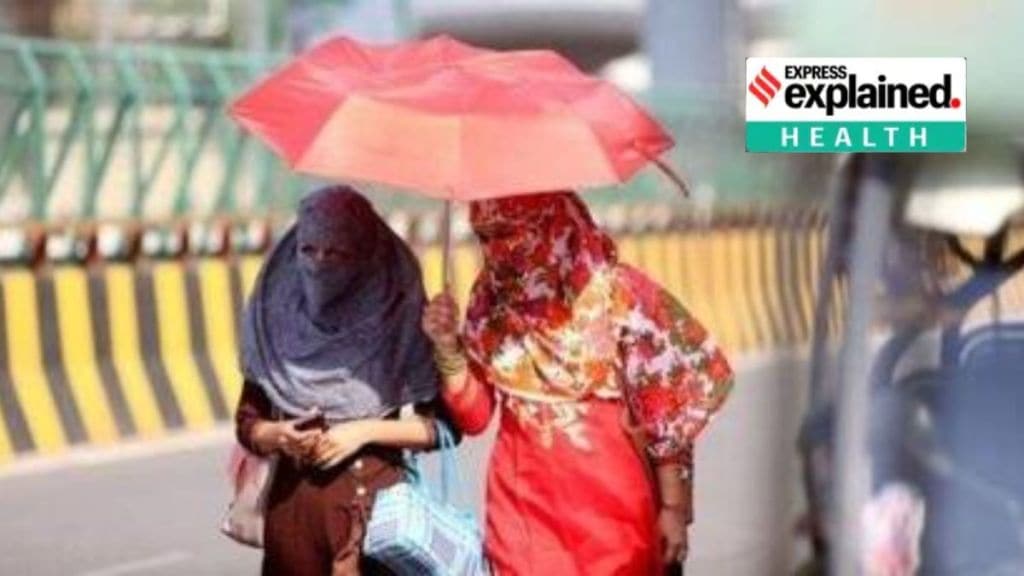 દેશમાં હીટવેવથી મૃત્યુ :  હીટ સ્ટ્રોક એટલ શું? તેના લક્ષણો, સારવાર અને બચવાના ઉપાયો