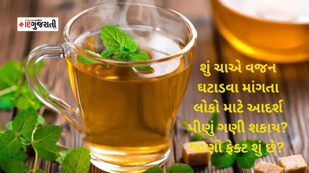 Health Tips : શું ચાએ વજન ઘટાડવા માંગતા લોકો માટે આદર્શ પીણું ગણી શકાય? જાણો ફેક્ટ શું છે?
