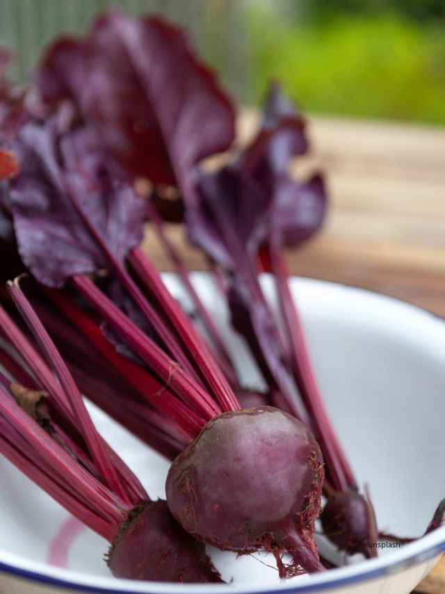 બીટરૂટનો ડાયટમાં સમાવેશ કરવો, પછી ભલે તે સલાડ, રસ અથવા રાંધેલી વાનગીઓમાં હોય, શ્રેષ્ઠ સ્વાસ્થ્યને પ્રોત્સાહન આપે છે અને સ્વાદિષ્ટ અને પૌષ્ટિક રહે છે.