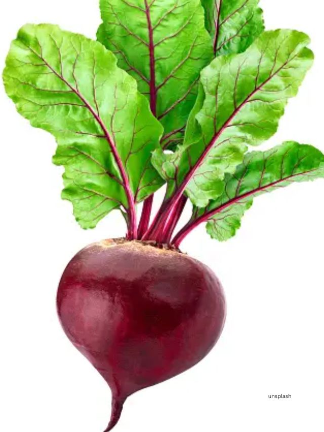 તેમણે ઉમેર્યું હતું કે બીટ સાથે જોડાયેલા પાંદડા) પણ ખાદ્ય હોય છે અને તે પોષકતત્વો ધરાવે છે, જે વિટામિન A અને K, તેમજ અન્ય ખનિજો અને એન્ટીઑકિસડન્ટોથી સમૃદ્ધ હોય છે.