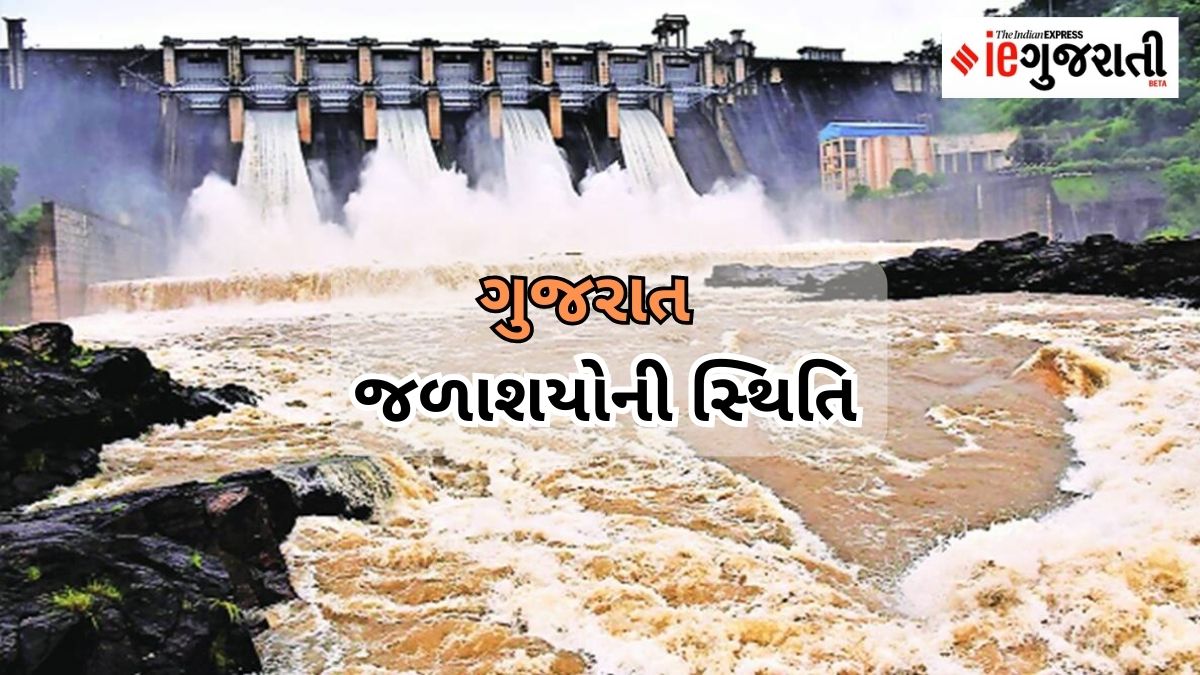 Lazy Load Placeholder Image