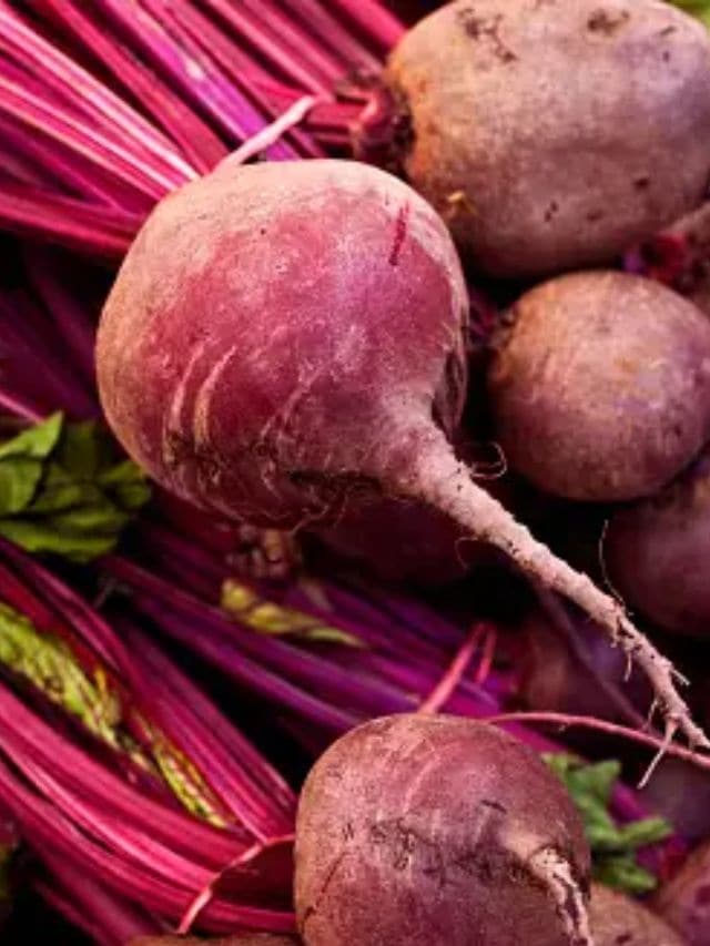 બીટએ એક કંદમૂળ છે, બીટનો સ્વાદ મોટાભાગના લોકોને પસંદ નથી,પરંતુ બીટરૂટ હકીકતમાં, ફાઇબર અને ખનિજોનો વિશાળ સ્ત્રોત છે, અહીં પૌષ્ટિક ખોરાક બીટ વિષે વિગતવાર જાણો,