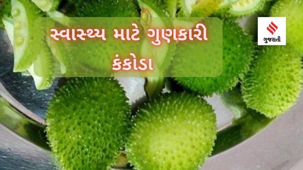 Monsoon Vegetables : ચોમાસાની ઋતુમાં આવતા કંકોડા છે સ્વાસ્થ્ય માટે આટલા ગુણકારી, અહીં જાણો