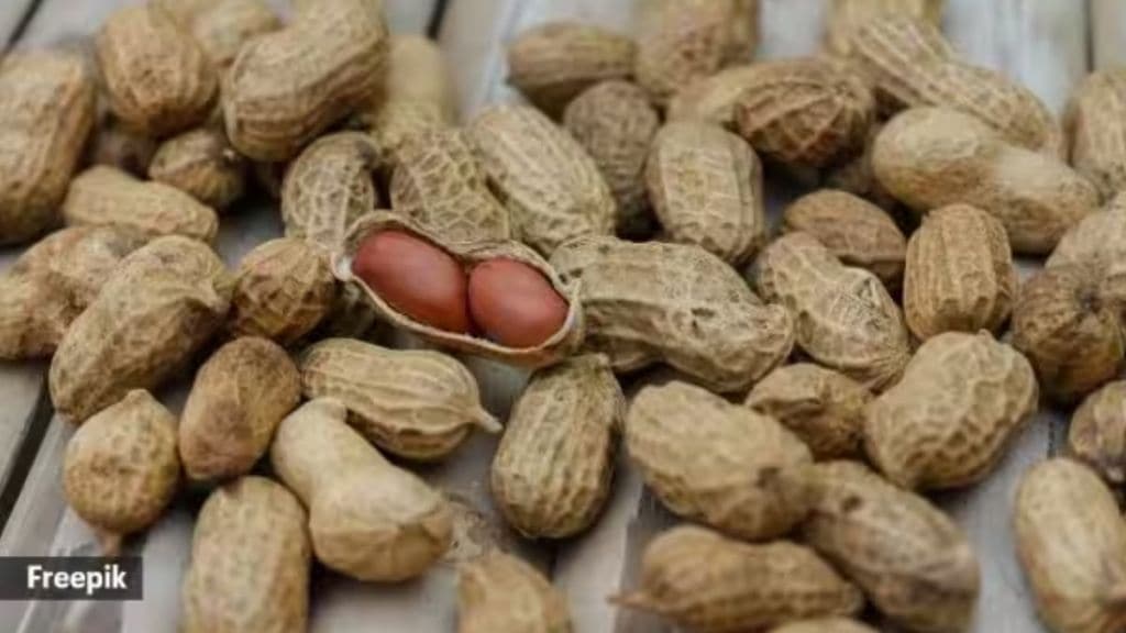 Health Tips Gujarati | Diabetic Patients food | Peanuts benefits