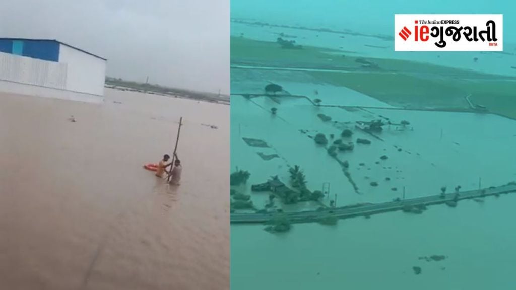 Gujarat Rain News : દેવભૂમિ દ્વારકા જળબંબાકાર : ખંભાળીયા 9 ઈંચ, કલ્યાણપુરામાં 4 ઈંચ, જુઓ સવારથી ક્યાં કેવો વરસાદી માહોલ Gujarat Rain News : દેવભૂમિ દ્વારકા જળબંબાકાર : ખંભાળીયા 9 ઈંચ, કલ્યાણપુરામાં 4 ઈંચ, જુઓ સવારથી ક્યાં કેવો વરસાદી માહોલ