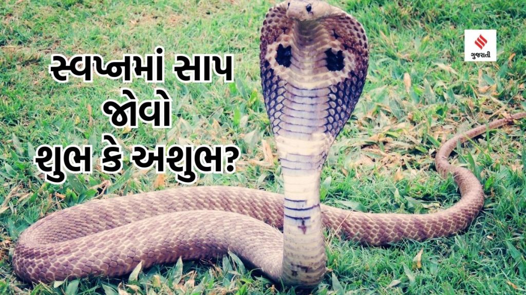 Swapna shastra : શ્રાવણમાં સાપ દેખાવો શુભ કે અશુભ? જાણો શું કહે છે સ્વપ્ન શાસ્ત્ર