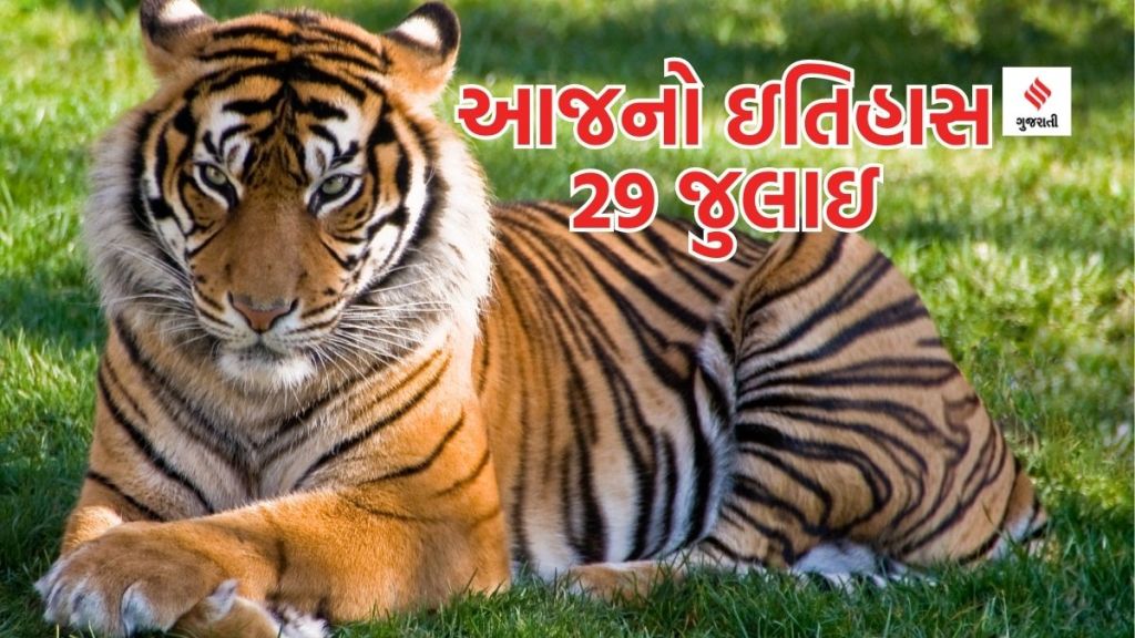 આજનો ઇતિહાસ 29 જુલાઇ: વિશ્વ વાઘ દિવસ – દુનિયામાં સૌથી વધુ વાઘ ભારતમાં