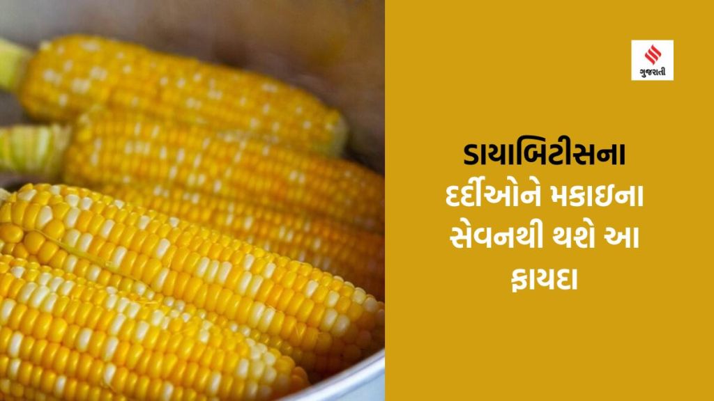 Sweet Corn Benefits : ડાયાબિટીસ ધરાવતા લોકો પણ મકાઇની મજા ઉઠાવી શકે છે, આ સુપરફૂડના છે અઢળક ફાયદા Sweet Corn Benefits : ડાયાબિટીસ ધરાવતા લોકો પણ મકાઇની મજા ઉઠાવી શકે છે, આ સુપરફૂડના છે અઢળક ફાયદા