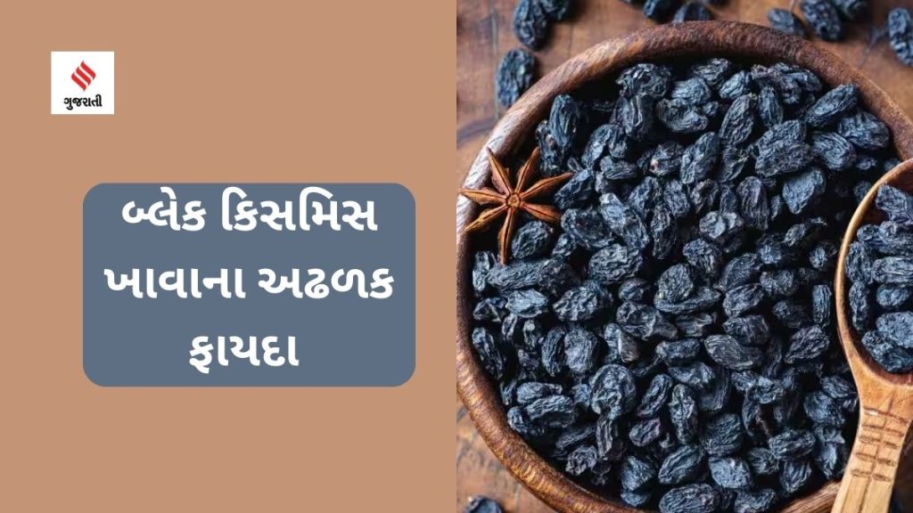 Black Raisins Benefits : બ્લેક કિસમિસ ખાવાના અઢળક ફાયદા
