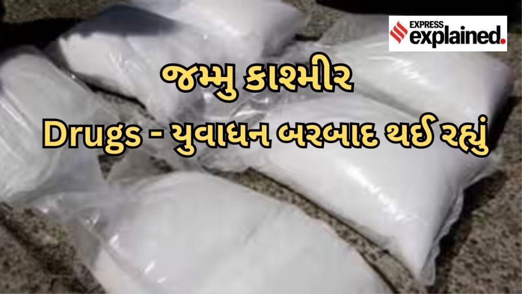 jammu kashmir drug : હવે નશો જમ્મુ-કાશ્મીરને બરબાદ કરી રહ્યો, DGP એ કહ્યું – આતંકવાદ કરતા પણ મોટો ખતરો છે ડ્રગ્સ